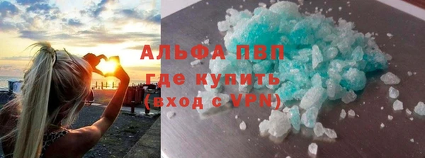 гидра Елабуга