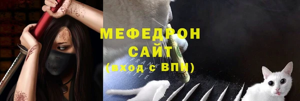 гидра Елабуга