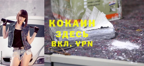 гидра Елабуга