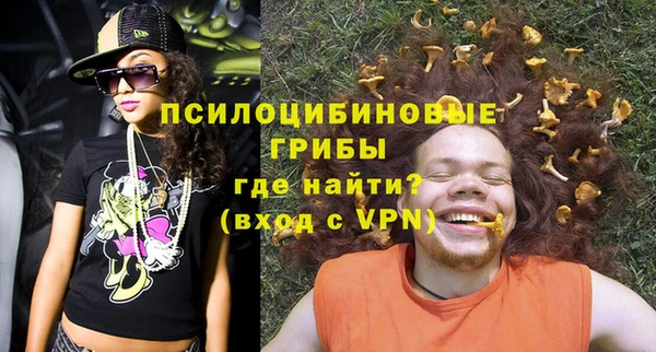 гидра Елабуга