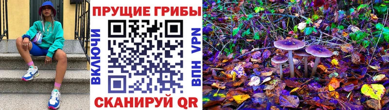 Галлюциногенные грибы MAGIC MUSHROOMS  Купить где  Злынка 